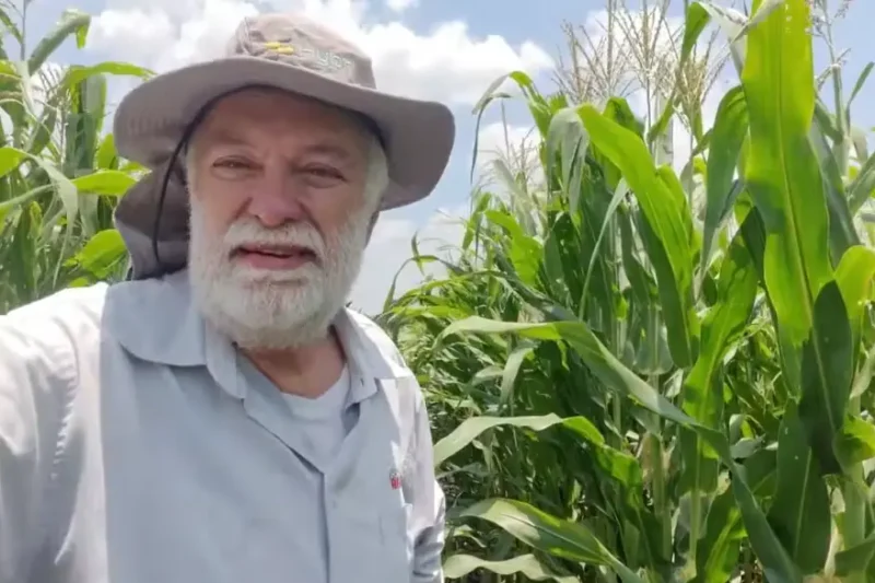 El Salvador Aims to Produce All Its Maize and Beans by 2029