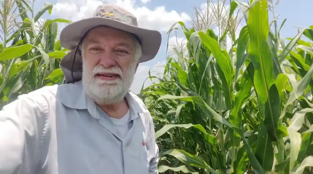Ernesto Cruz in El Salvador, corn production
