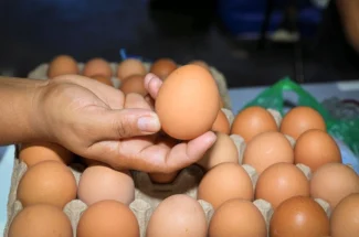 El Salvador’s Cost of Living: Food, Housing, Transportation, and Utilities