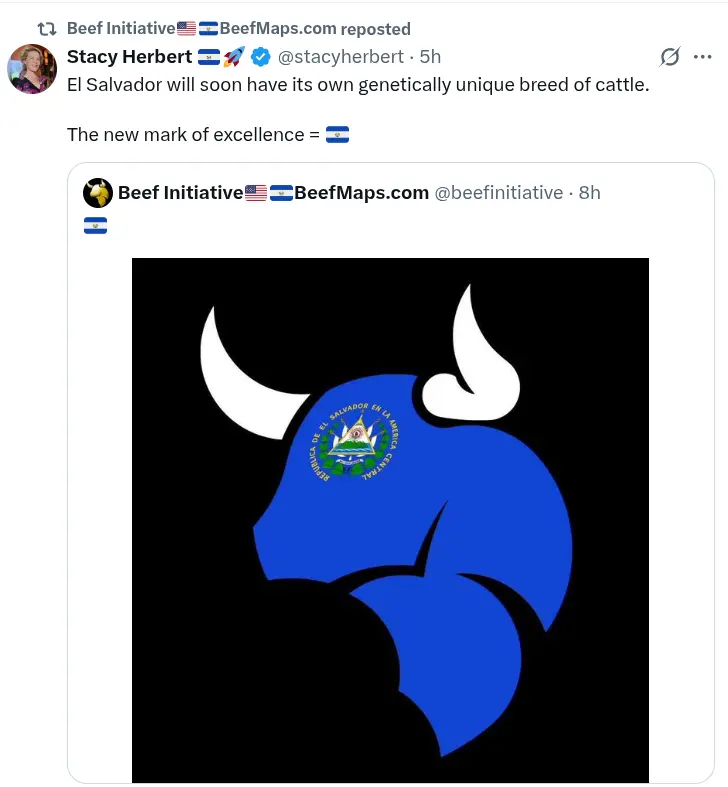 El Salvador will soon have its own genetically unique breed of cattle