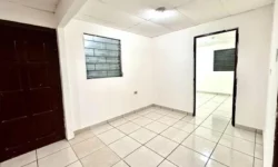 Apartments for Rent in El Salvador: Key Insights for Expats